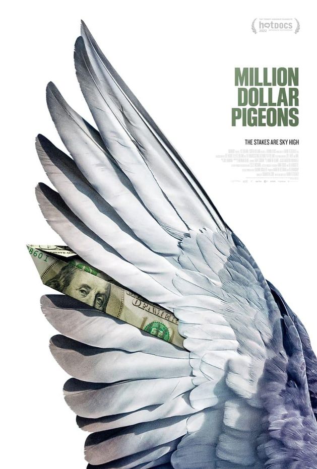 poster for Million Dollar Pigeons