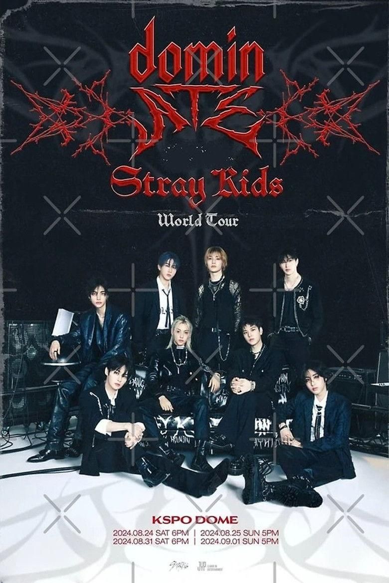 Stray Kids: The dominATE Experience poster image