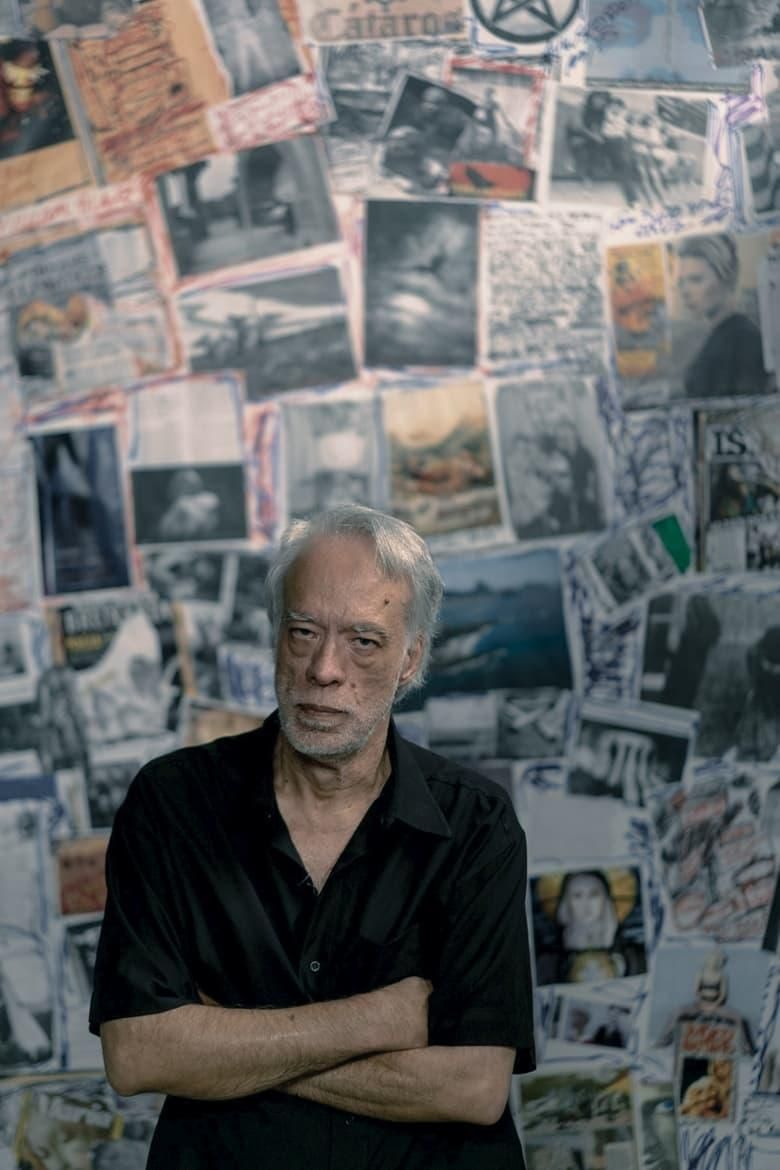 Fausto Fawcett na Cabeça poster image