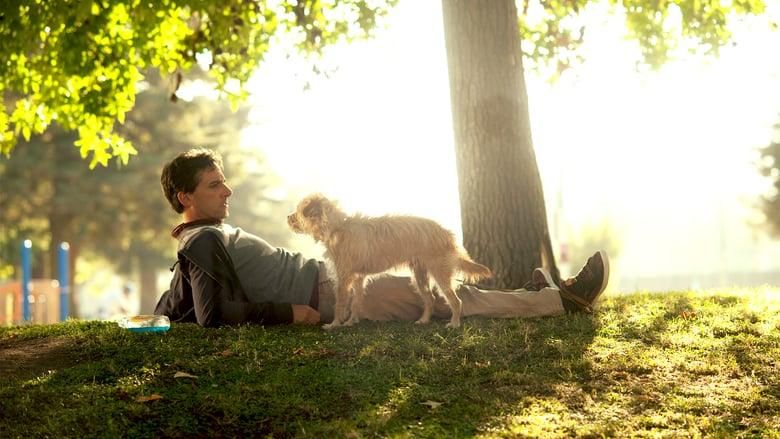 Seeking a Friend for the End of the World thumbnail