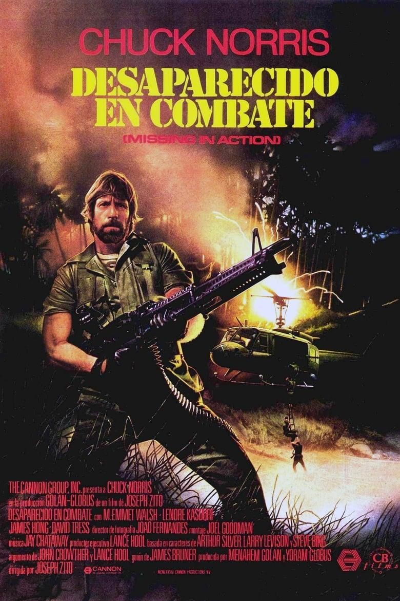 Desaparecido en combate poster image