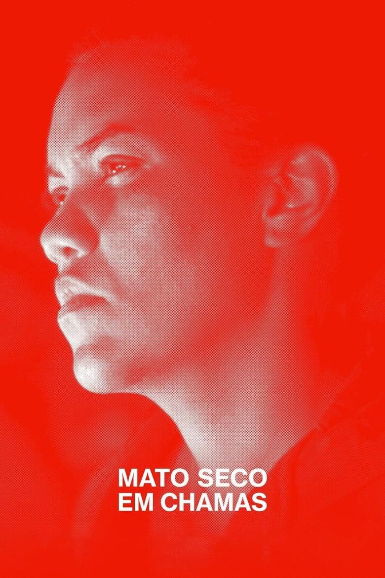 Mato Seco em Chamas poster image