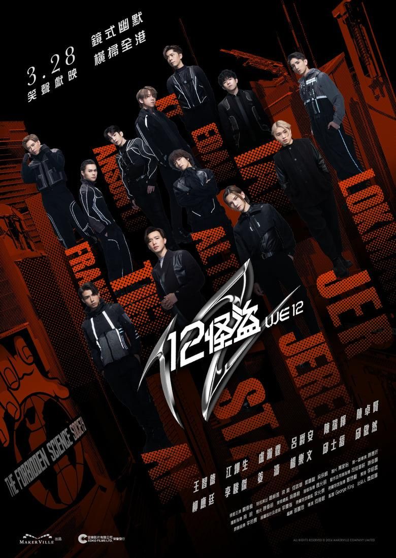 12怪盜 poster image